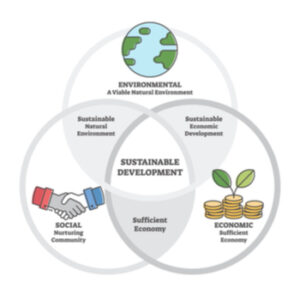 What are the four types of sustainability – SanzuBusinessTraining.com